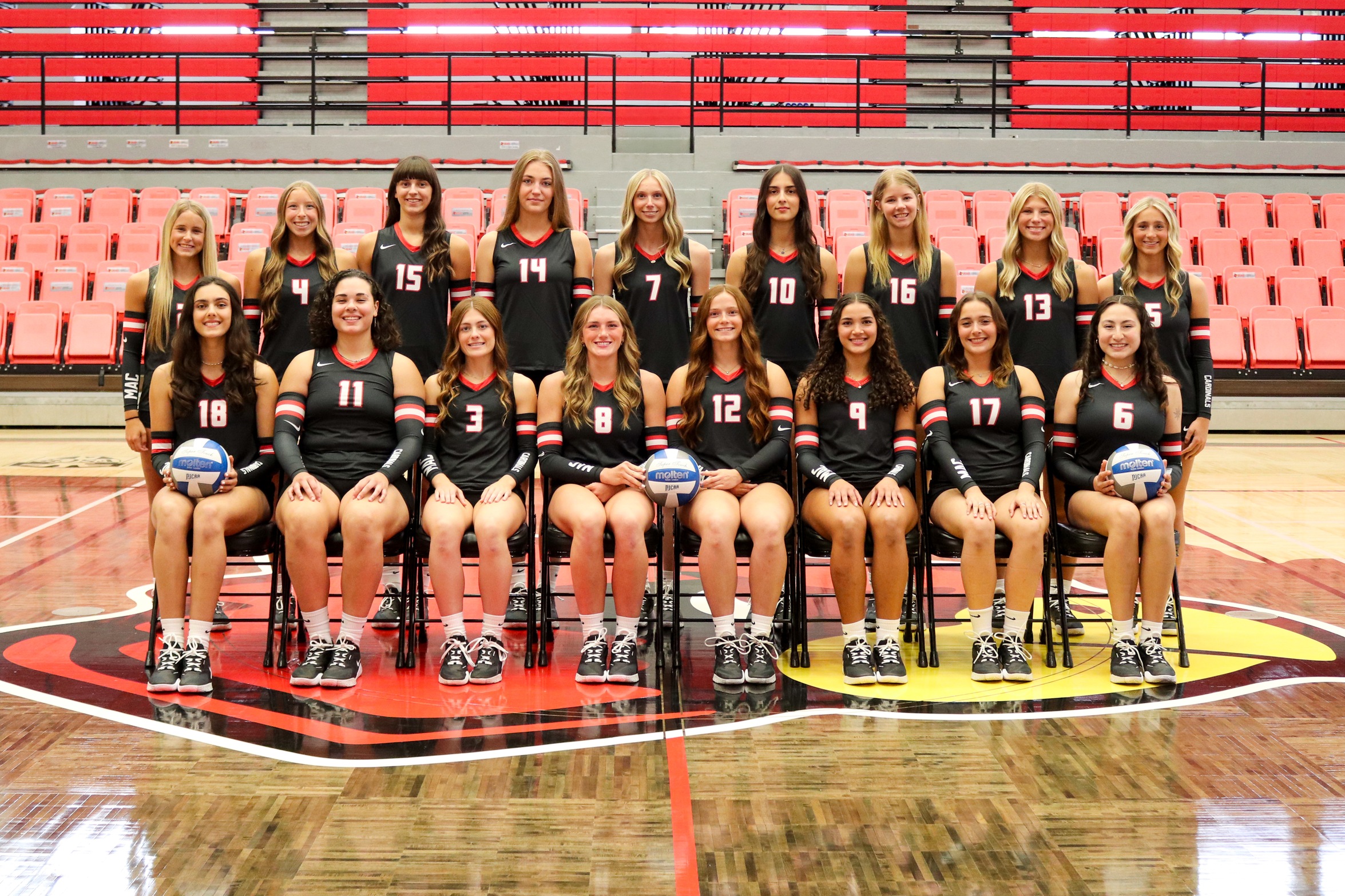 Season Preview: Women's Volleyball